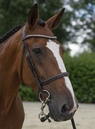 Bridon de stallmeister en cuir brun