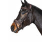 Equiline Bride Anatomique étroite avec muserolle combinée