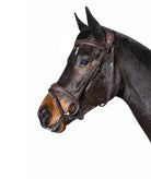 Equiline Hoofdstel Anatomisch smal gecombineerde neusriem