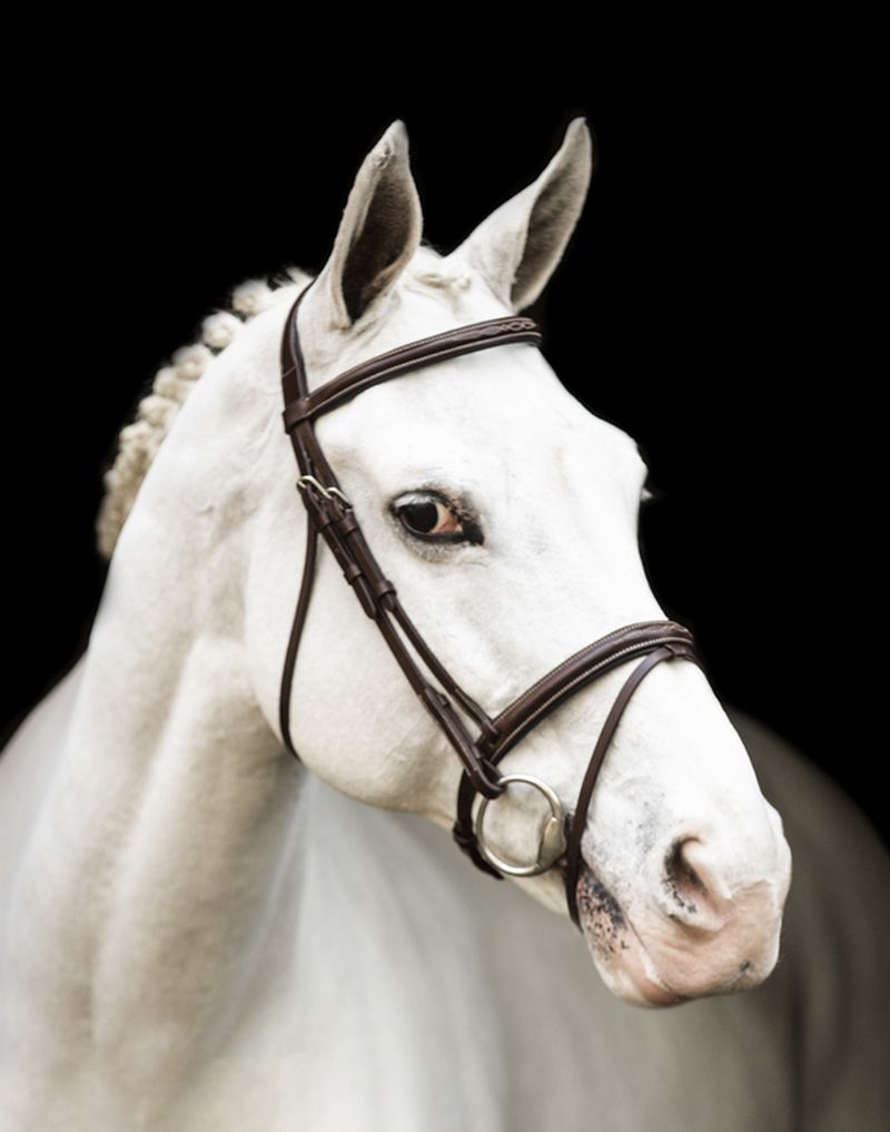 LJ Leathers New Pro hoofdstel gecombineerde neusriem