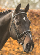 LJ Leathers New Pro hoofdstel gecombineerde neusriem Zwart Goud kleurig