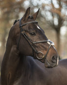 LJ Leathers New Pro hoofdstel mexicaanse neusriem