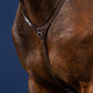 Collection Dyon US martingale Yoke marron