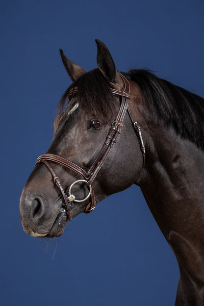 Dyon US Jumping bridon avec muserolle combinée marron