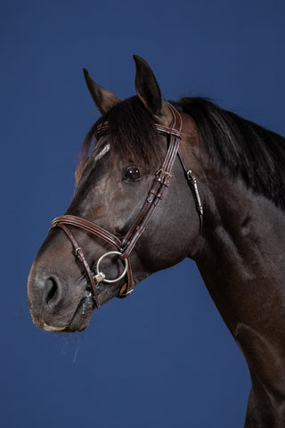 Dyon US Jumping bridon avec muserolle combinée marron