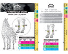 Veredus Kogelbeschermers Pro Jump Elastic bruin
